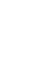 Platinum Ant Icon